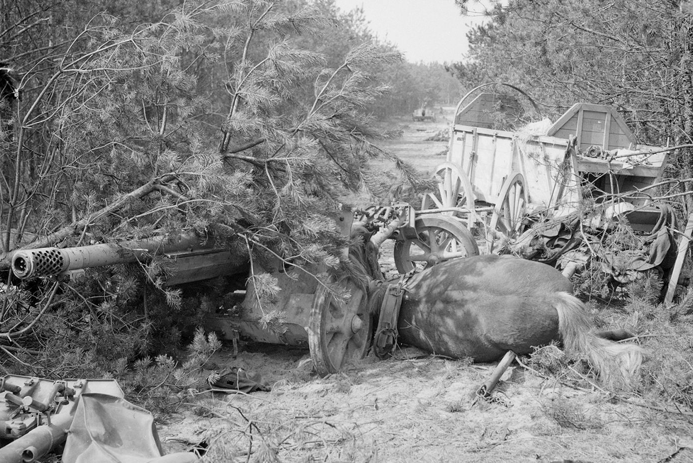 Wrecked German equipment and a dead horse near Otterloo on April 17