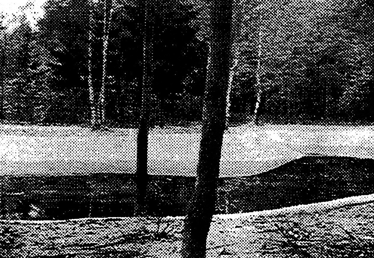 park with a pond and some trees in the foreground and background